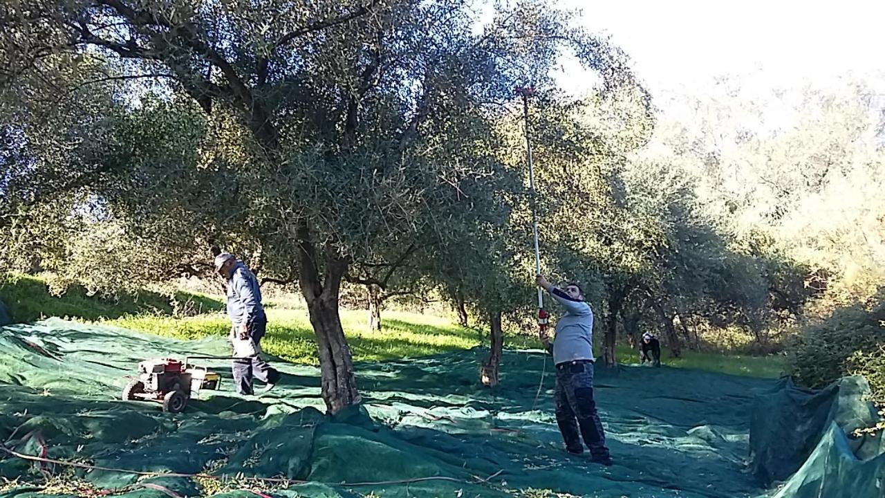 Eleas Gi Villa Vitaládes Zewnętrze zdjęcie